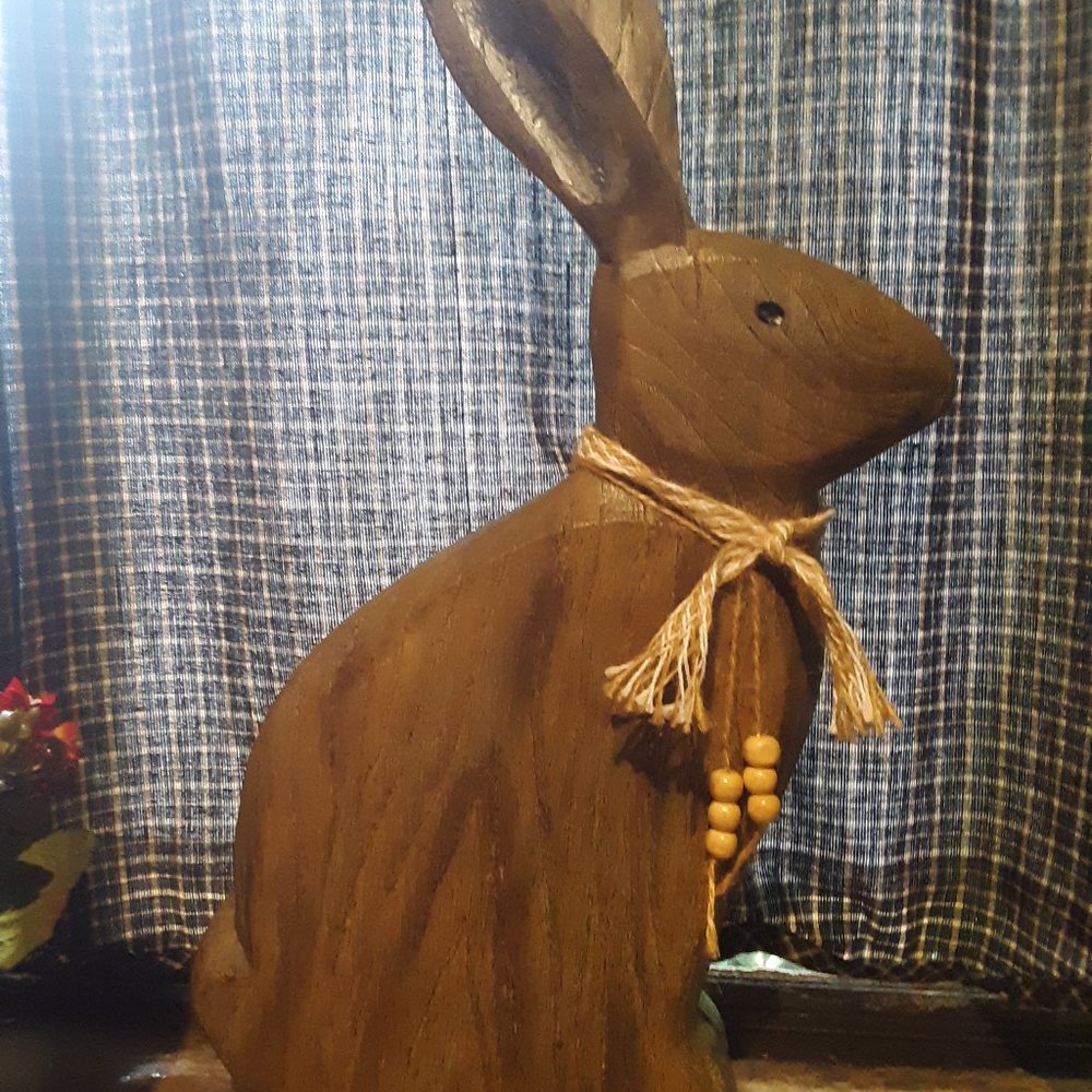 Beautiful Large Rabbit - Picture 3 of 6